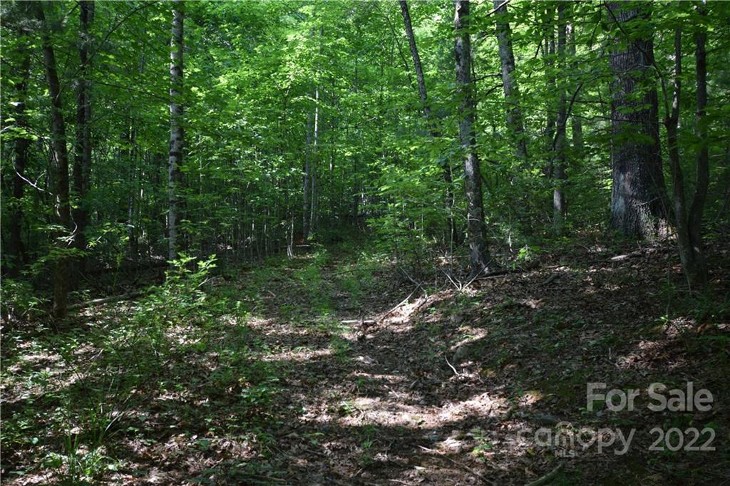 0 Thompson Road Spruce Pine, NC 28777 - Photo 10 of 19 Gallery Image 10