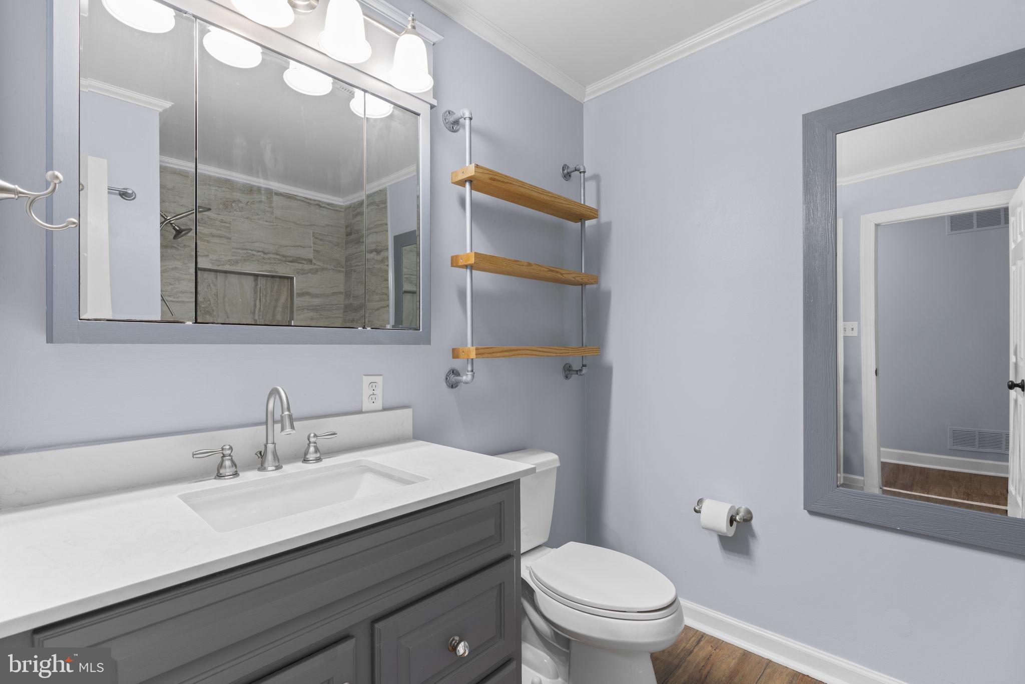 5803 Woodbine Road Woodbine, MD 21797 - Photo 11 of 41 Primary Bathroom