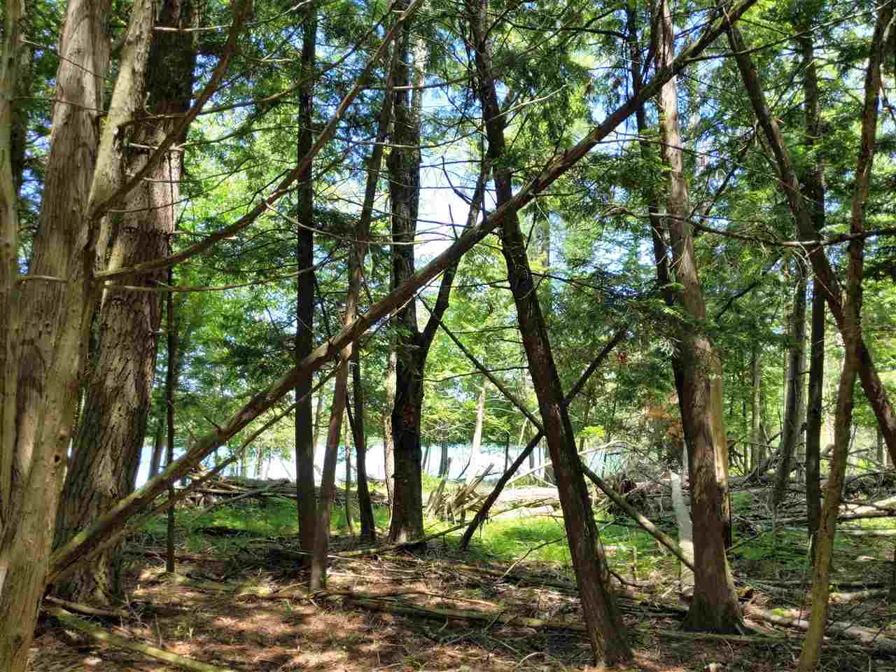Burnt Mill Road Interlochen, MI 49643 - Photo 15 of 25 1863508-14.JPG