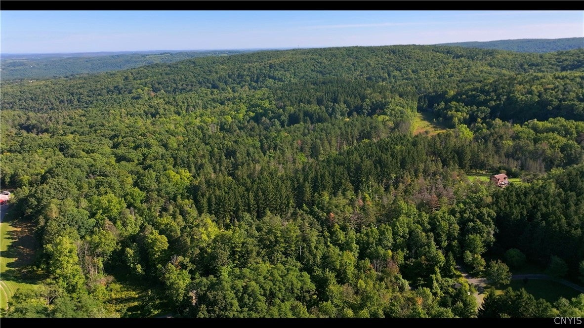8086 Ross Road Honeoye, NY 14471 - Photo 5 of 11 Gallery Image 5