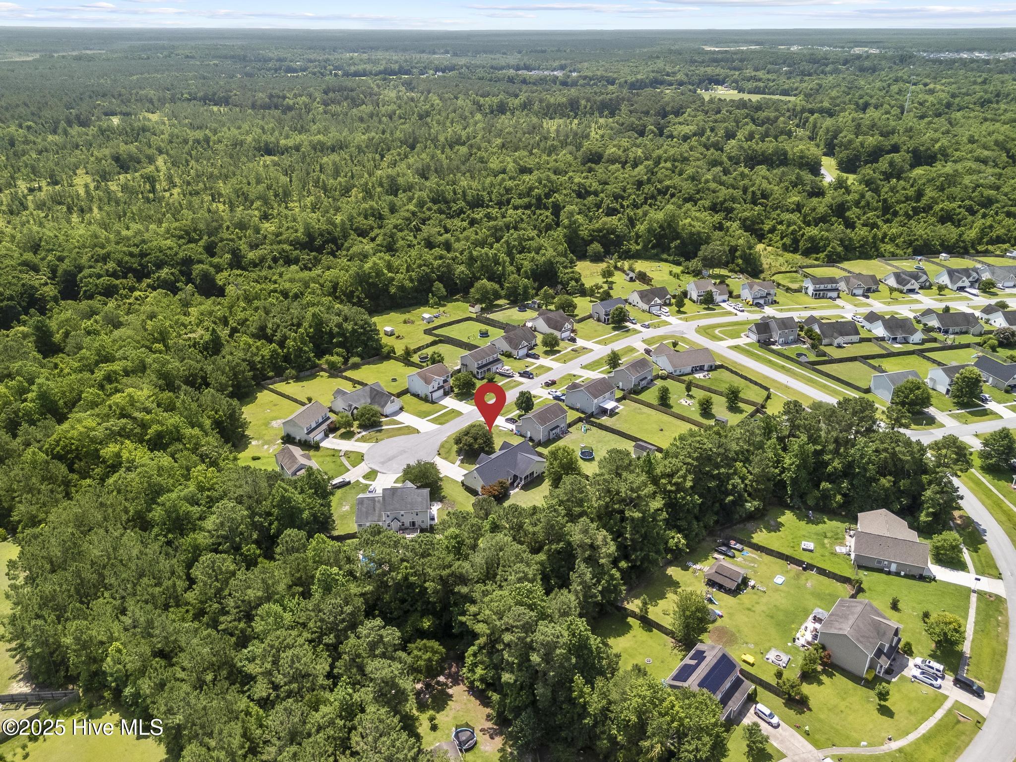 241 Emerald Ridge Road Jacksonville, NC 28546 - Photo 37 of 43 DJI_20250620112416_0593_D copy
