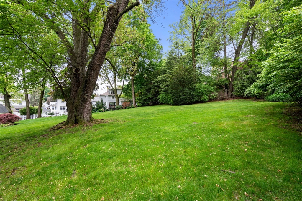 20 Scott Road Belmont, MA 02478 - Photo 17 of 20