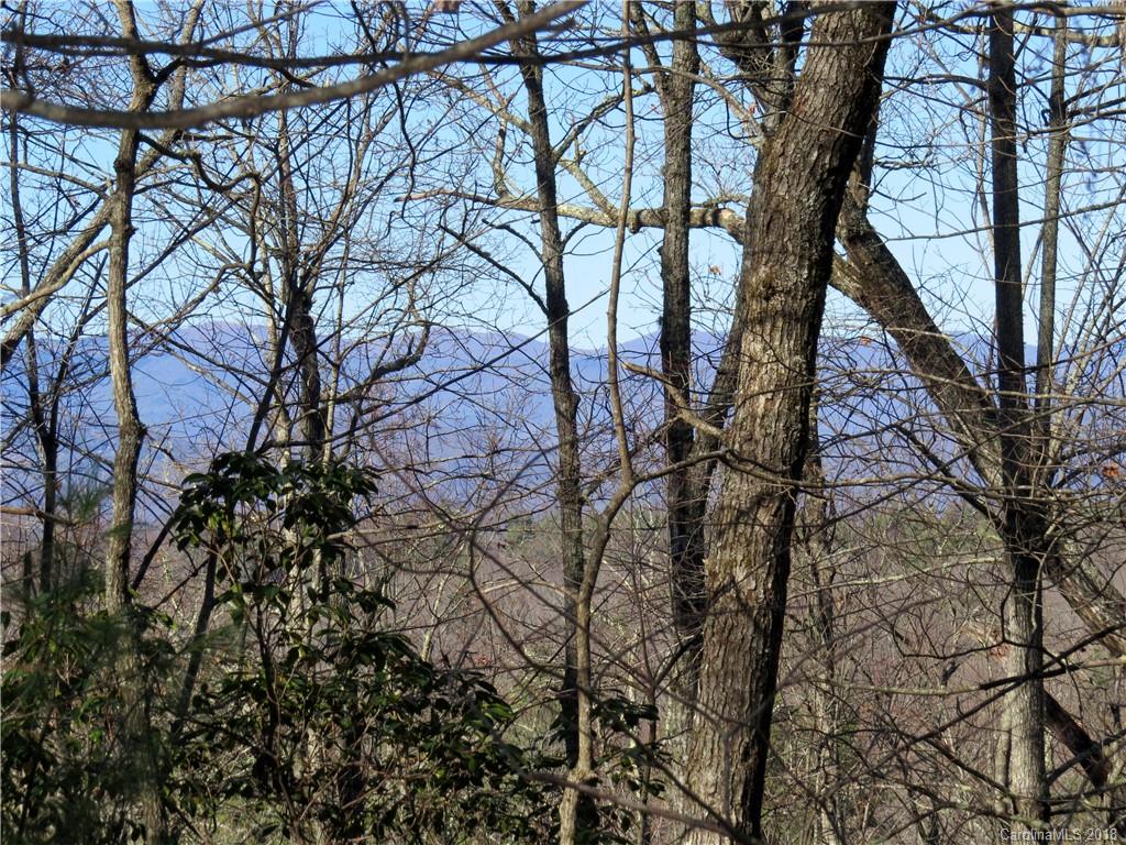 733 Slick Rock Road, Unit 1A Brevard, NC 28712 - Photo 9 of 15 Gallery Image 9
