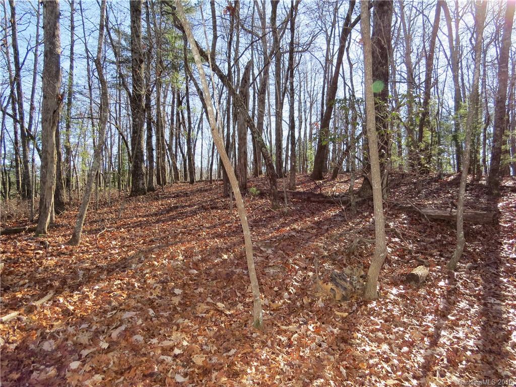 733 Slick Rock Road, Unit 1A Brevard, NC 28712 - Photo 10 of 15 Gallery Image 10