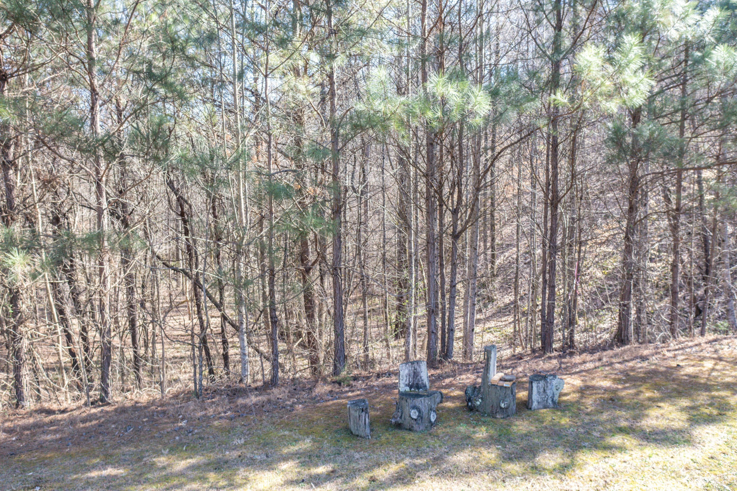 930 Council Road Northeast Charleston, TN 37310 - Photo 73 of 103 72-DJI_0522