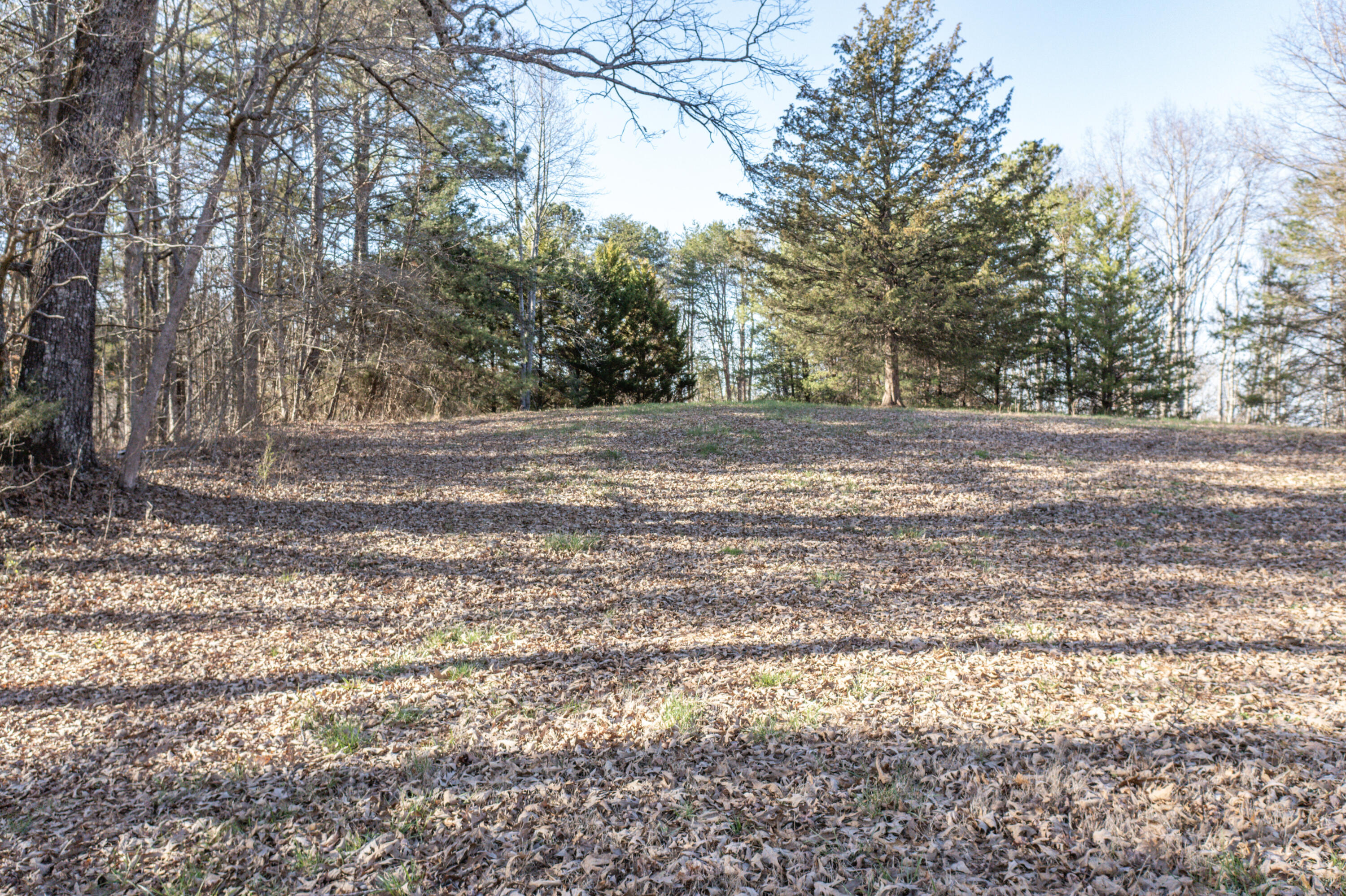 930 Council Road Northeast Charleston, TN 37310 - Photo 80 of 103 79-DJI_0552