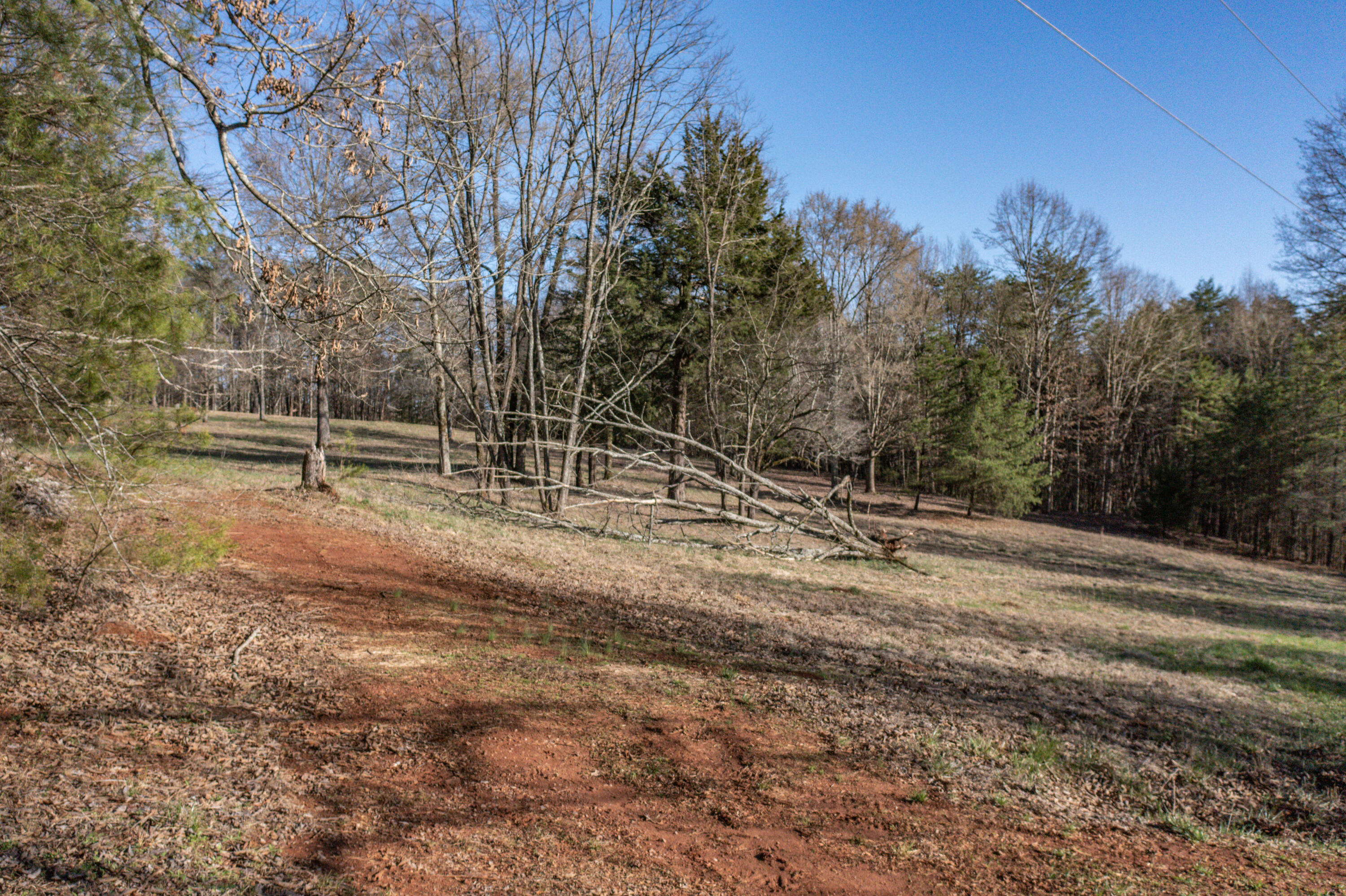 930 Council Road Northeast Charleston, TN 37310 - Photo 95 of 103 94-DJI_0562