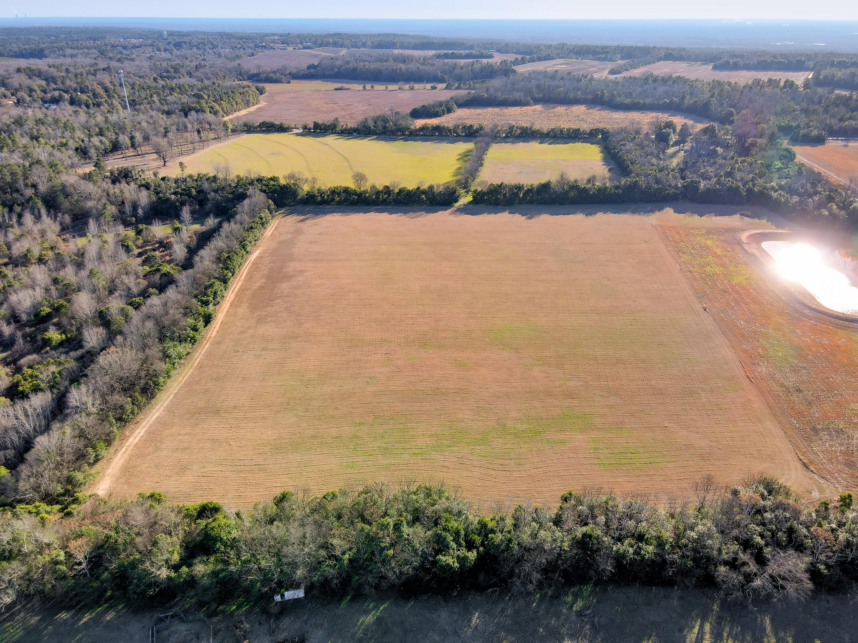 10.80-acres Williston Road Beech Island, SC 29842 - Photo 10 of 16