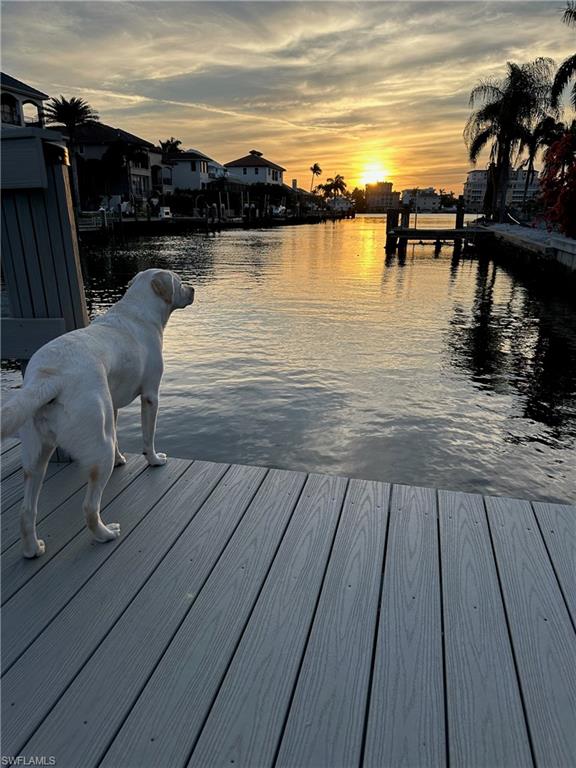 388 Pine Avenue Naples, FL 34108 - Photo 40 of 42 a view of a lake view