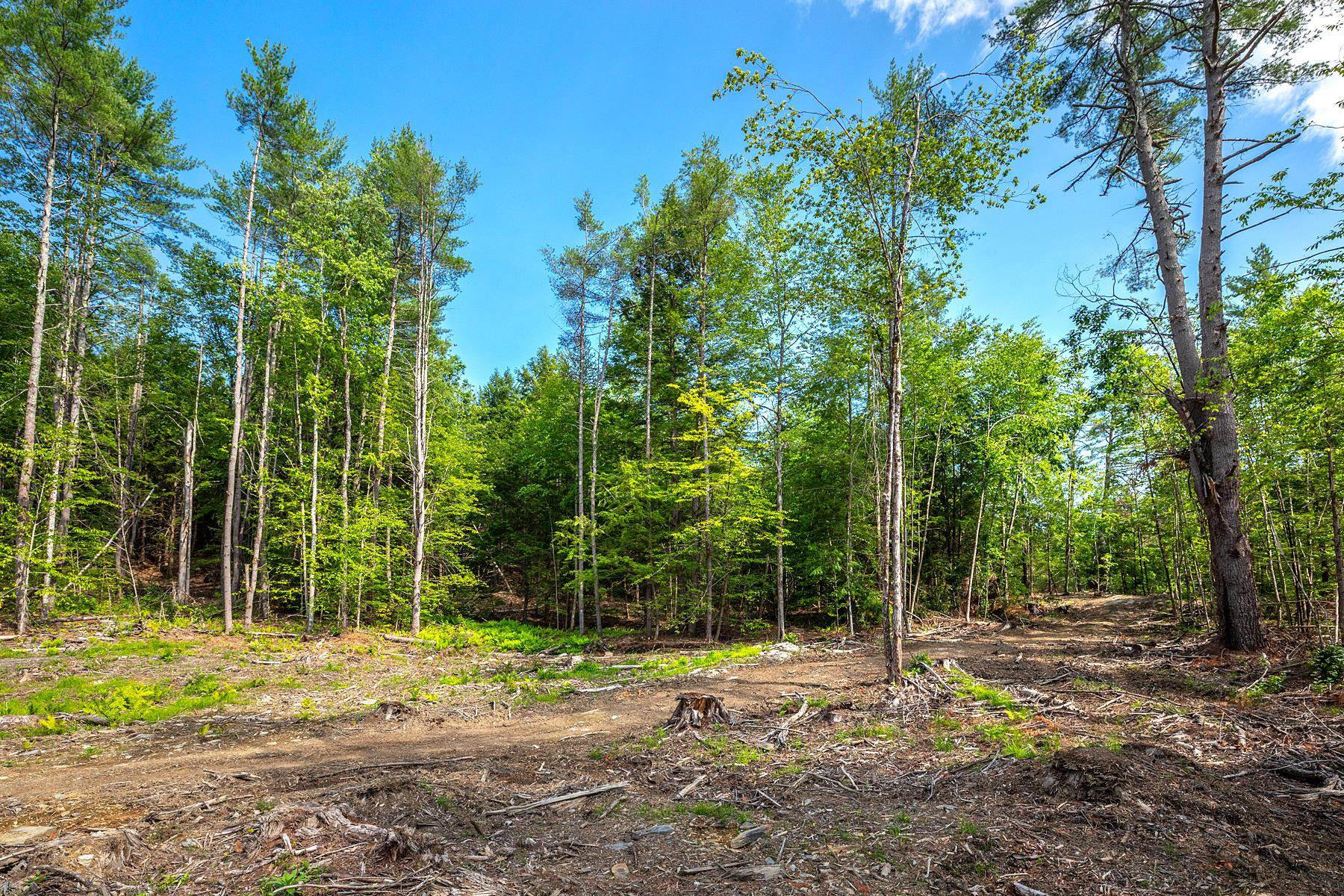 40 East Putney Brook Road Putney, VT 05346 - Photo 7 of 19