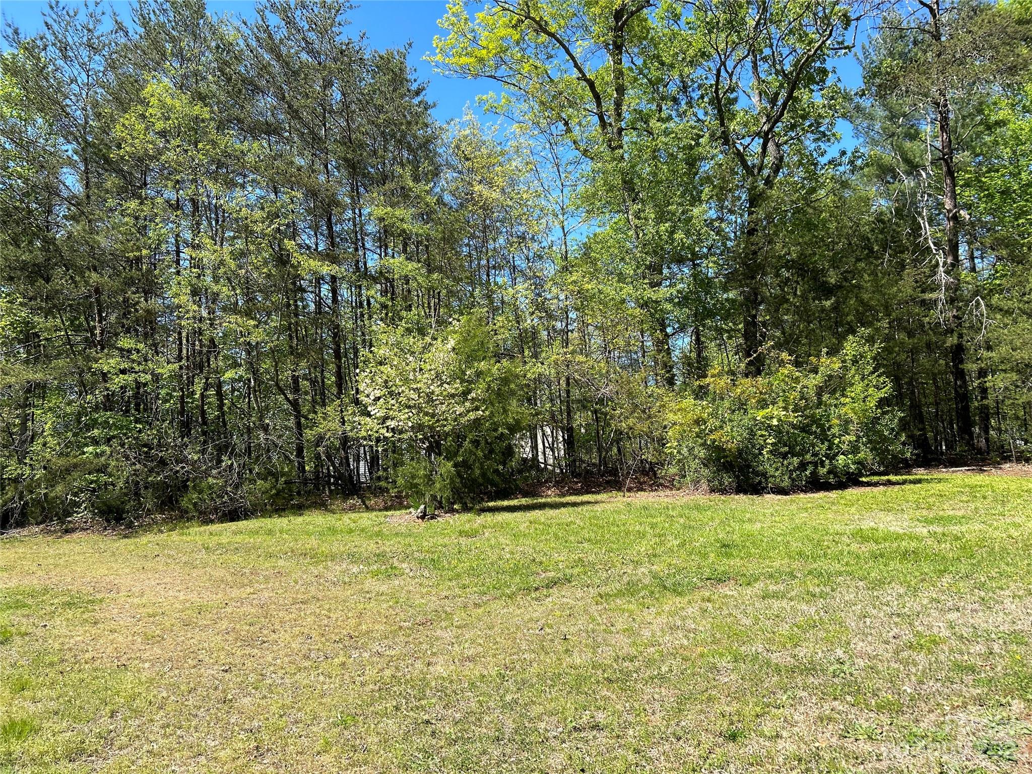 1715 North Powerhouse Road Morganton, NC 28655 - Photo 8 of 24 Gallery Image 8