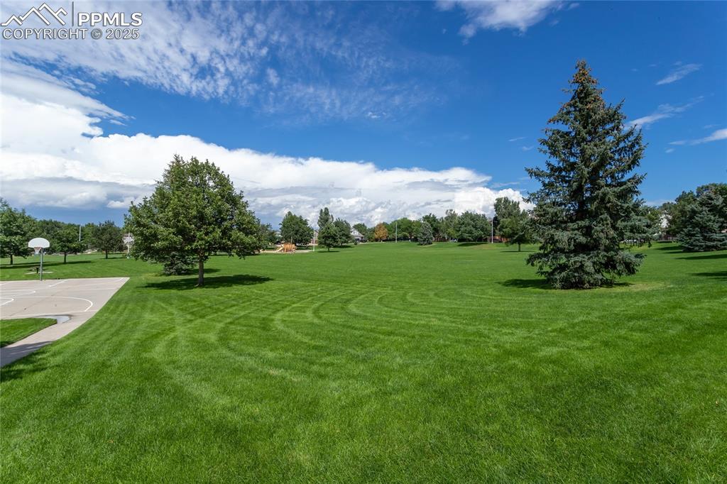 6815 Anchor Point Colorado Springs, CO 80922 - Photo 46 of 46 a view of a green field with wooden fence