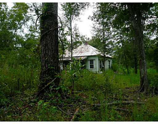 8570 Cleo Smith Road Pass Christian, MS 39571 - Photo 6 of 11 Additional Photo
