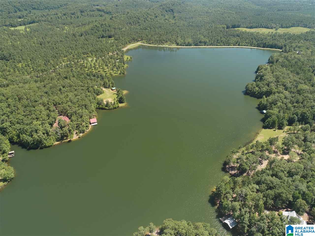 827 Colleton Forest Way, Unit 20 ACRES Vincent, AL 35178 - Photo 22 of 31