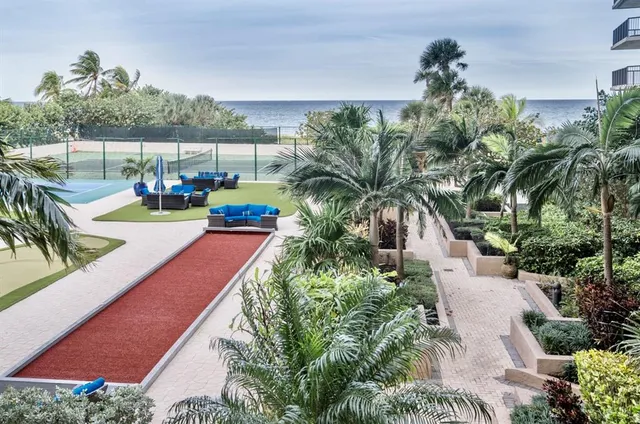 a view of a palm plant from a palm tree