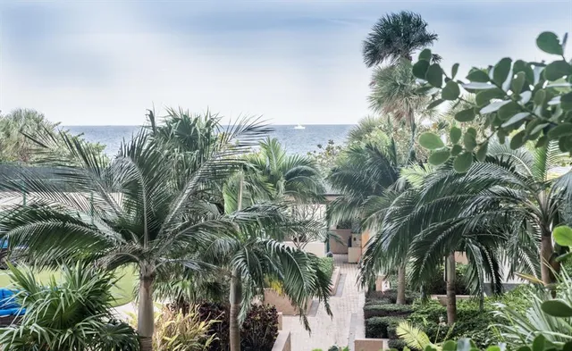a bird view of a house