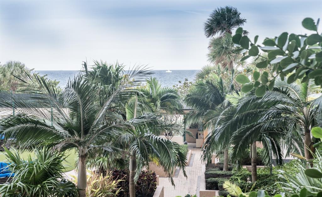 1800 South Ocean Boulevard, Unit 511 Pompano Beach, FL 33062 - Photo 9 of 48 a view of a palm plant from a palm tree