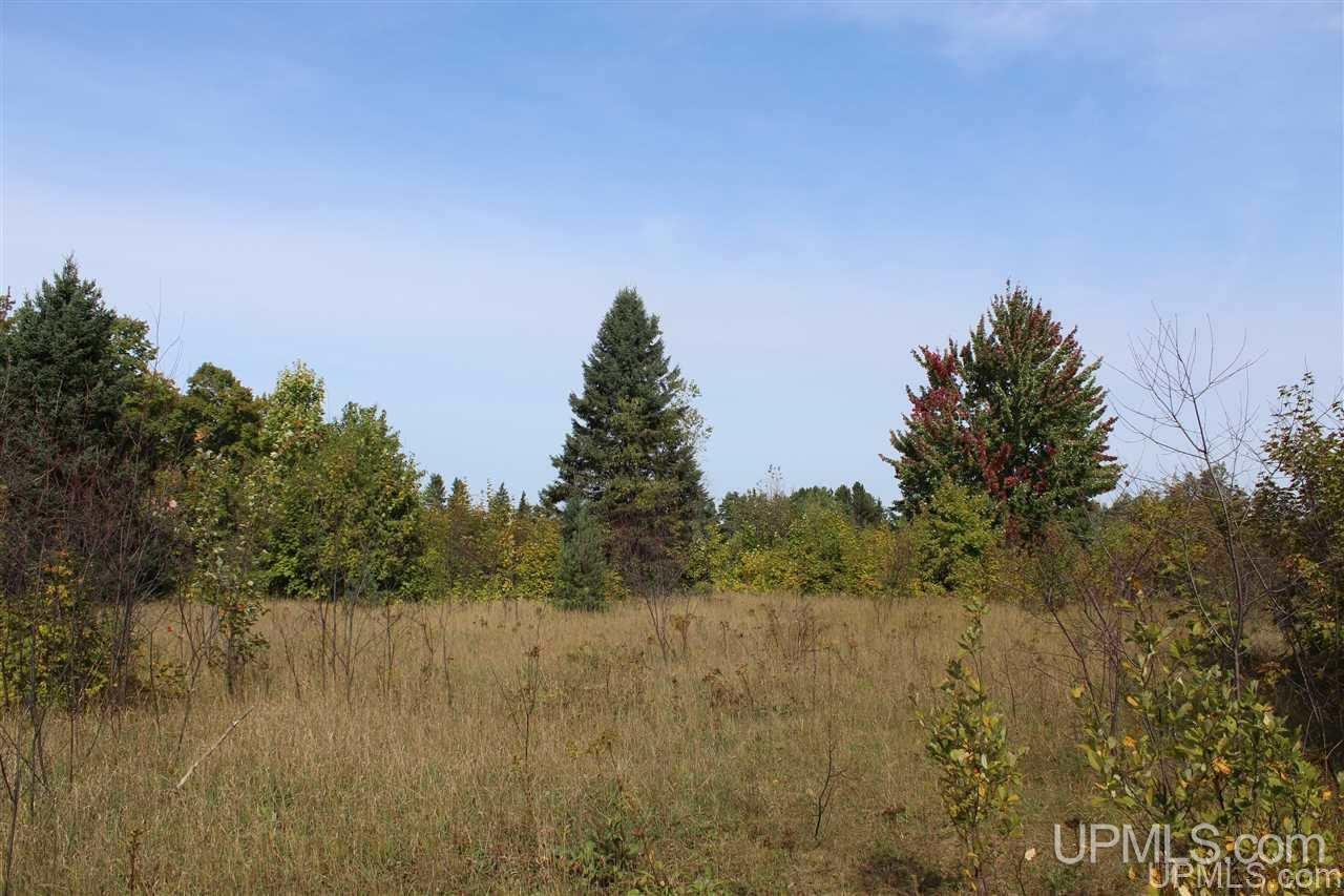 23827 Hulkonen Road Nisula, MI 49952 - Photo 21 of 44 Gallery Image 21
