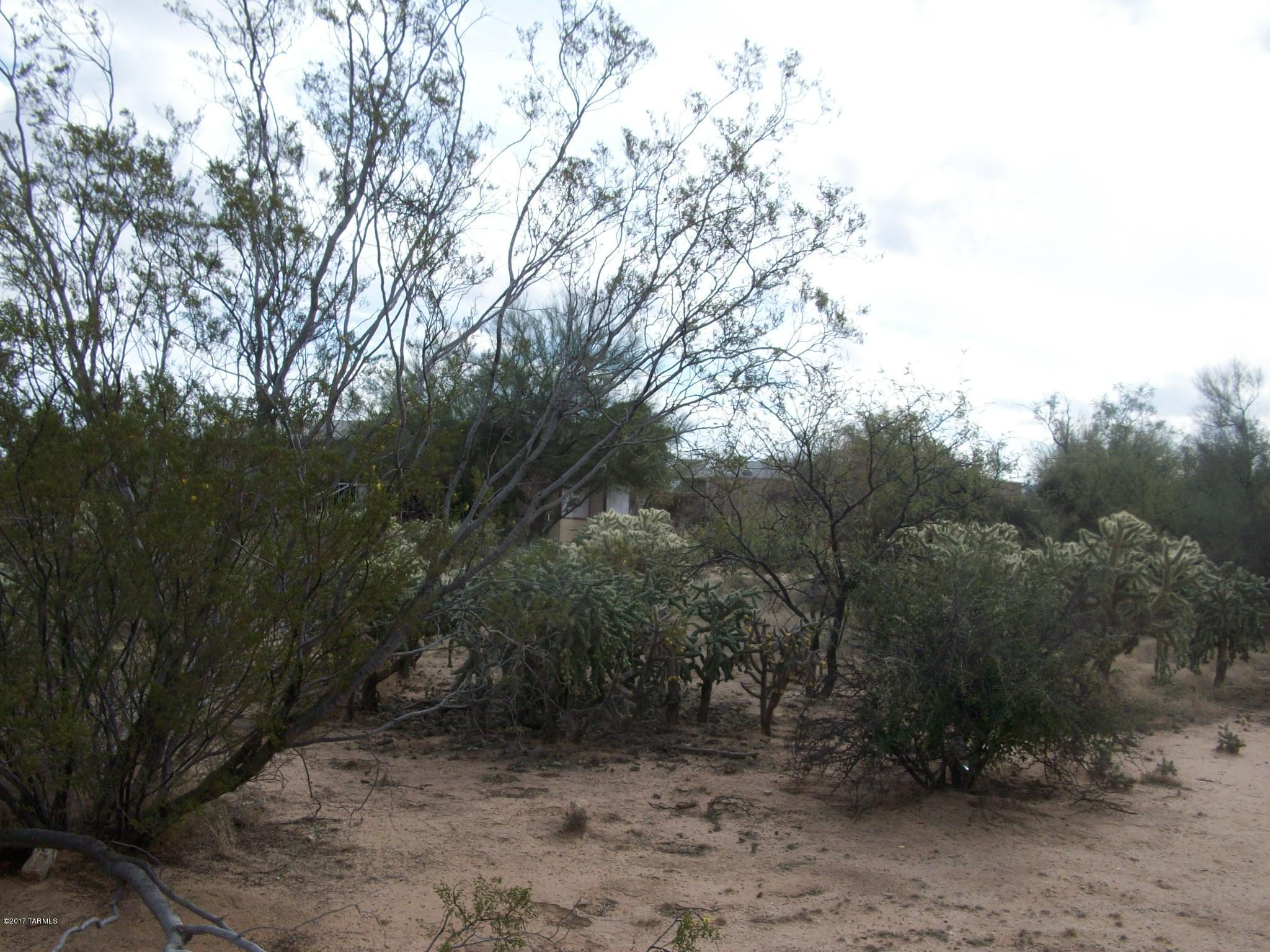 14465 West Applejack Road Tucson, AZ 85736 - Photo 4 of 5