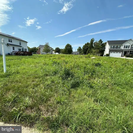a view of a big yard with potted plants and a tree