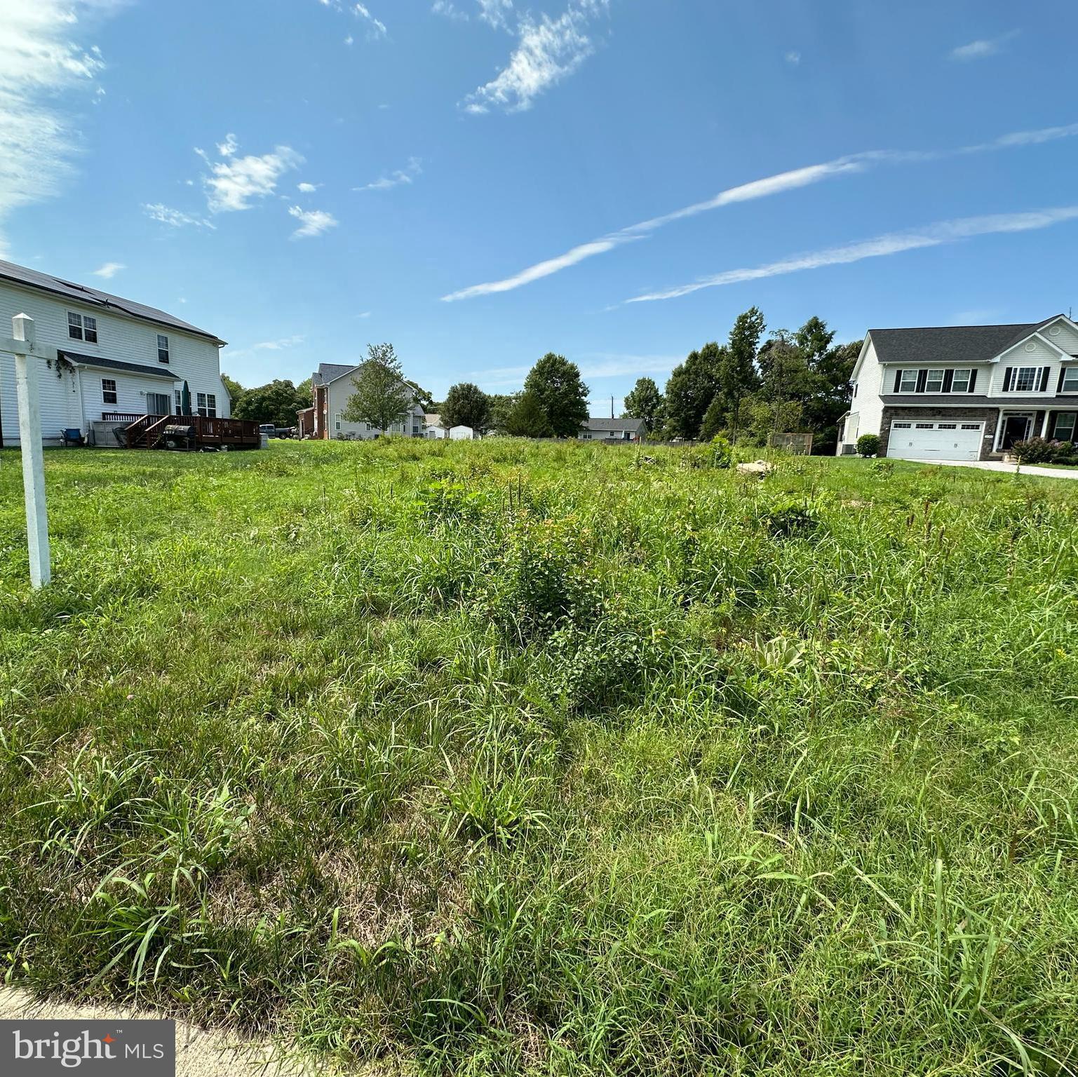 10309 Brandywine Road Clinton, MD 20735 - Photo 1 of 2 a view of a big yard with potted plants and a tree