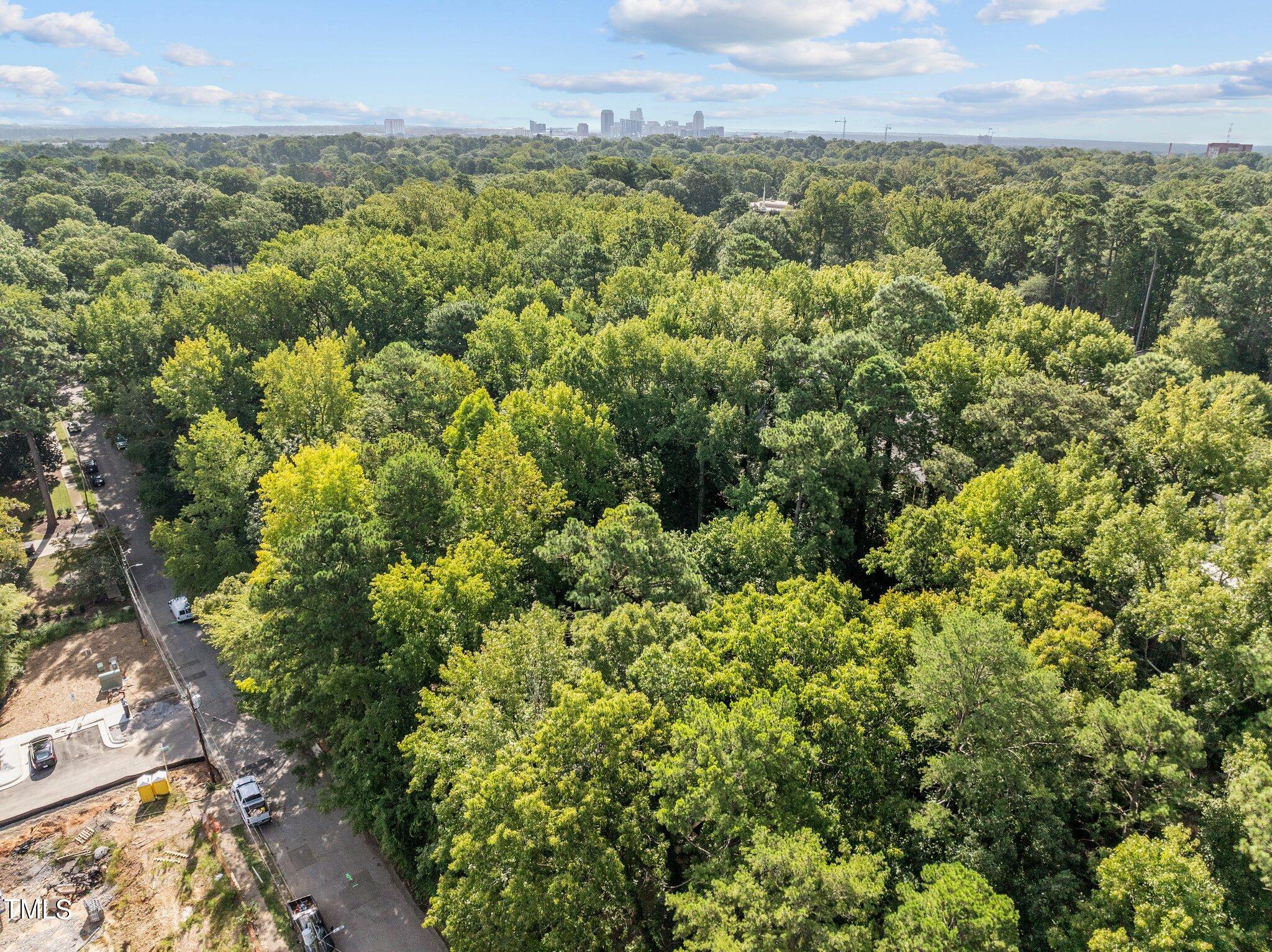 2909 Oberry Street Raleigh, NC 27607 - Photo 19 of 19 Ariel View