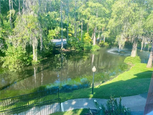 a park view with large trees