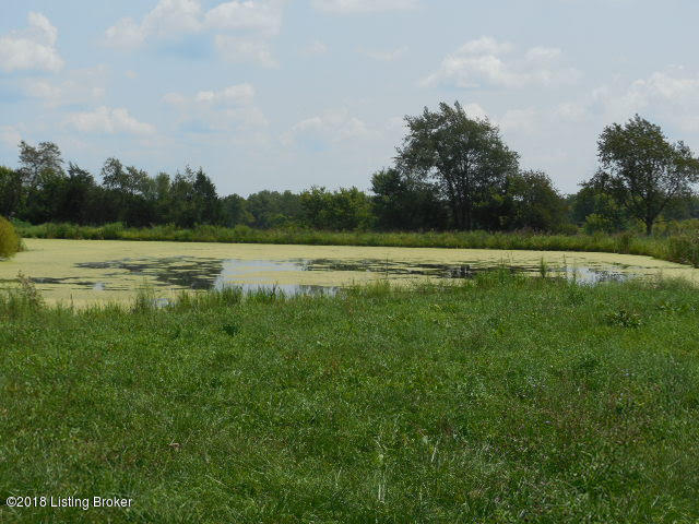 12321 Cropper Road Pleasureville, KY 40057 - Photo 25 of 36 21