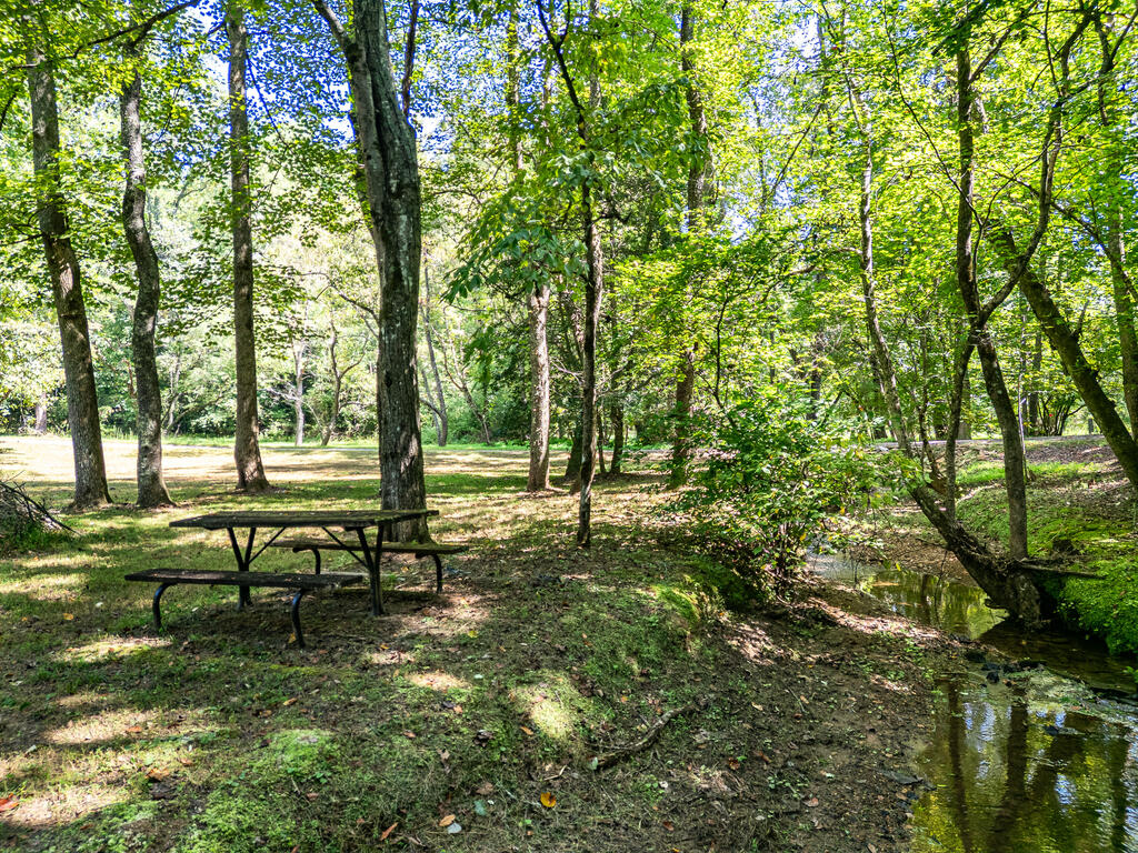 372 Hunter Ridge Murphy, NC 28906 - Photo 25 of 41 Gallery Image 25