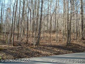 Lot#3 Beau Valley Road Tryon, NC 28782 - Photo 2 of 5 a view of a wooden floor with a plant