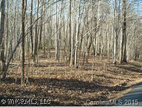 Lot#3 Beau Valley Road Tryon, NC 28782 - Photo 4 of 5