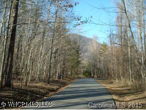 Lot#3 Beau Valley Road Tryon, NC 28782 - Photo 5 of 5