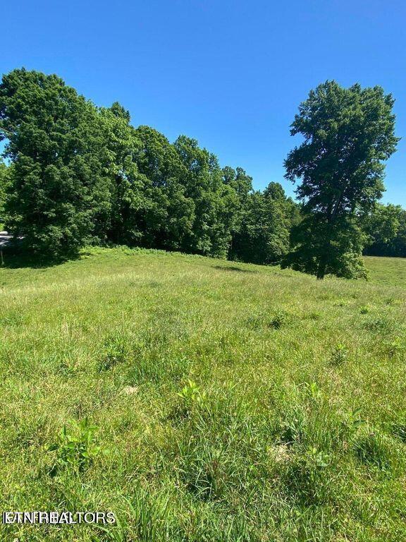 Lot 3 Chapman Road La Follette, TN 37766 - Photo 6 of 7 lot3