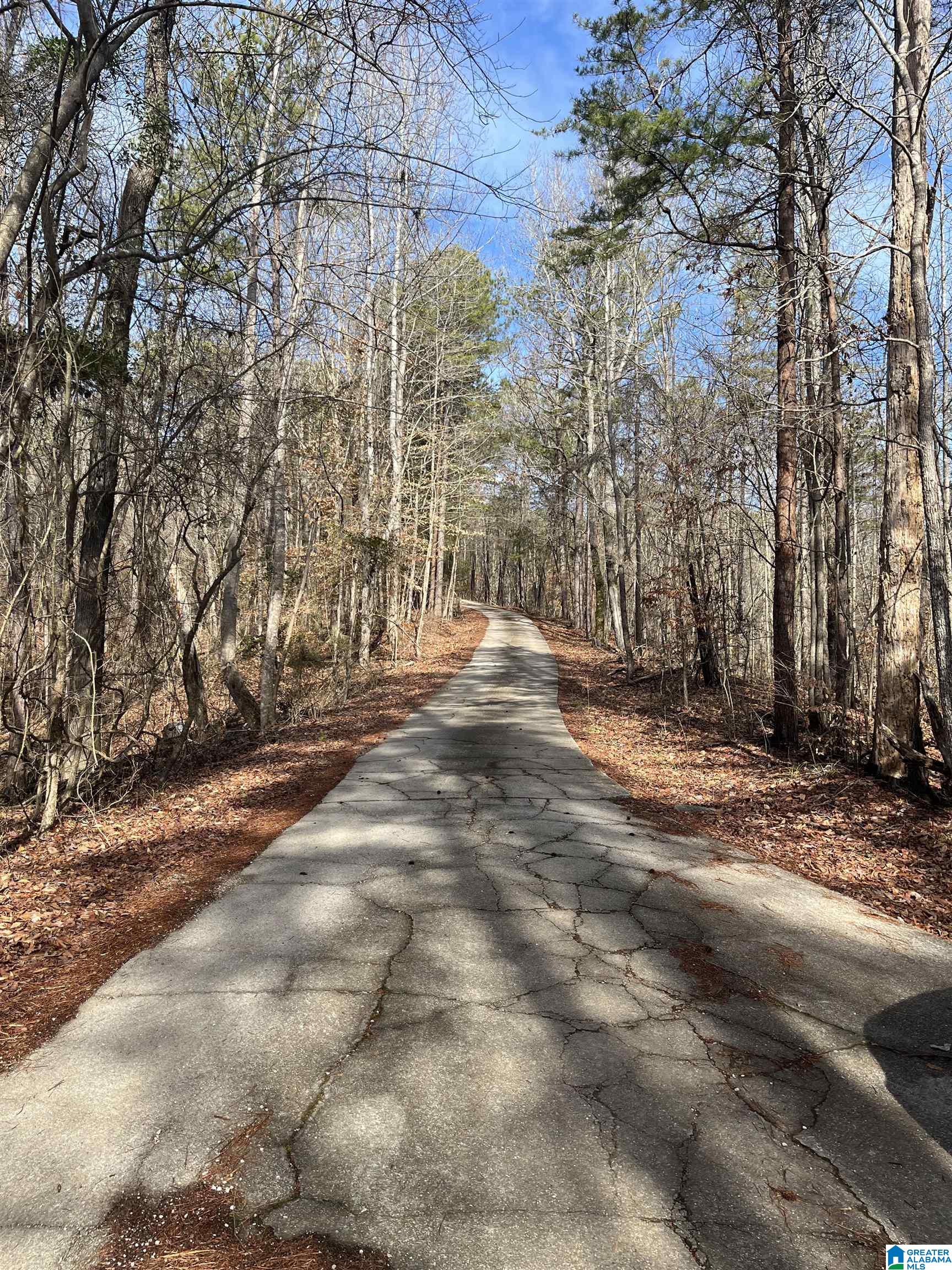 135 Big Troll Road Adger, AL 35006 - Photo 24 of 30 Gallery Image 24