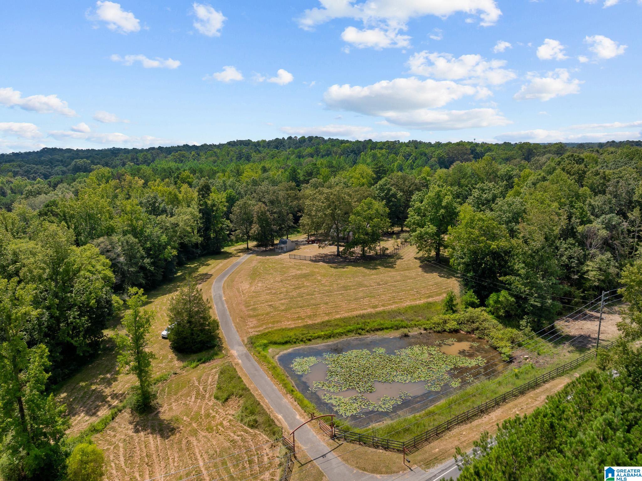 1695 Sanie Road Odenville, AL 35120 - Photo 39 of 63