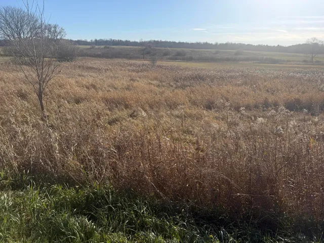 $29,900 | 18 18 Mile Road, Big Rapids, MI 49307