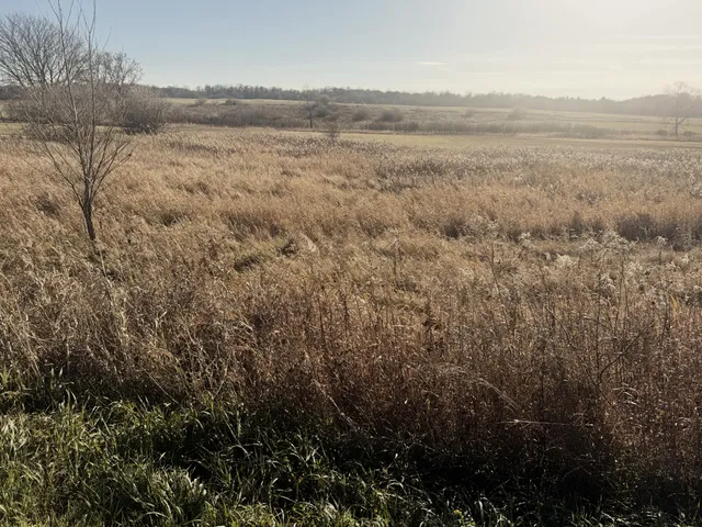 $29,900 | 18 18 Mile Road, Big Rapids, MI 49307