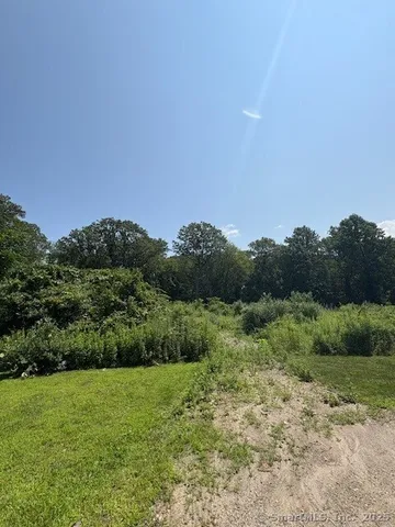 a view of a field of grass and trees