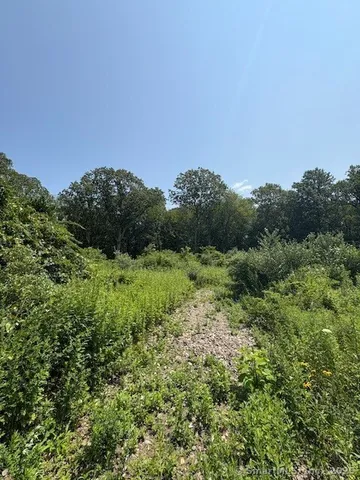 a view of a green field with lots of bushes