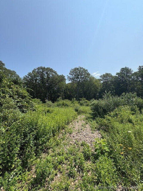 608 West Road Salem, CT 06420 - Photo 2 of 2 a view of a green field with lots of bushes