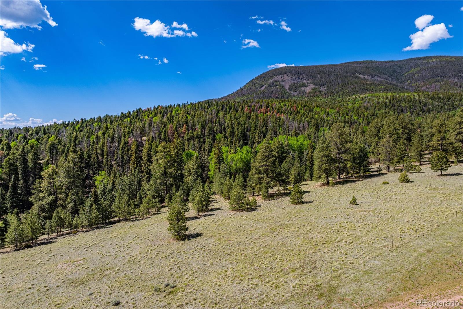 298 Steven Road Canon City, CO 81212 - Photo 5 of 35