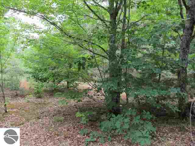 653 Thomas Road South Boardman, MI 49680 - Photo 38 of 42 1786786-37.JPG