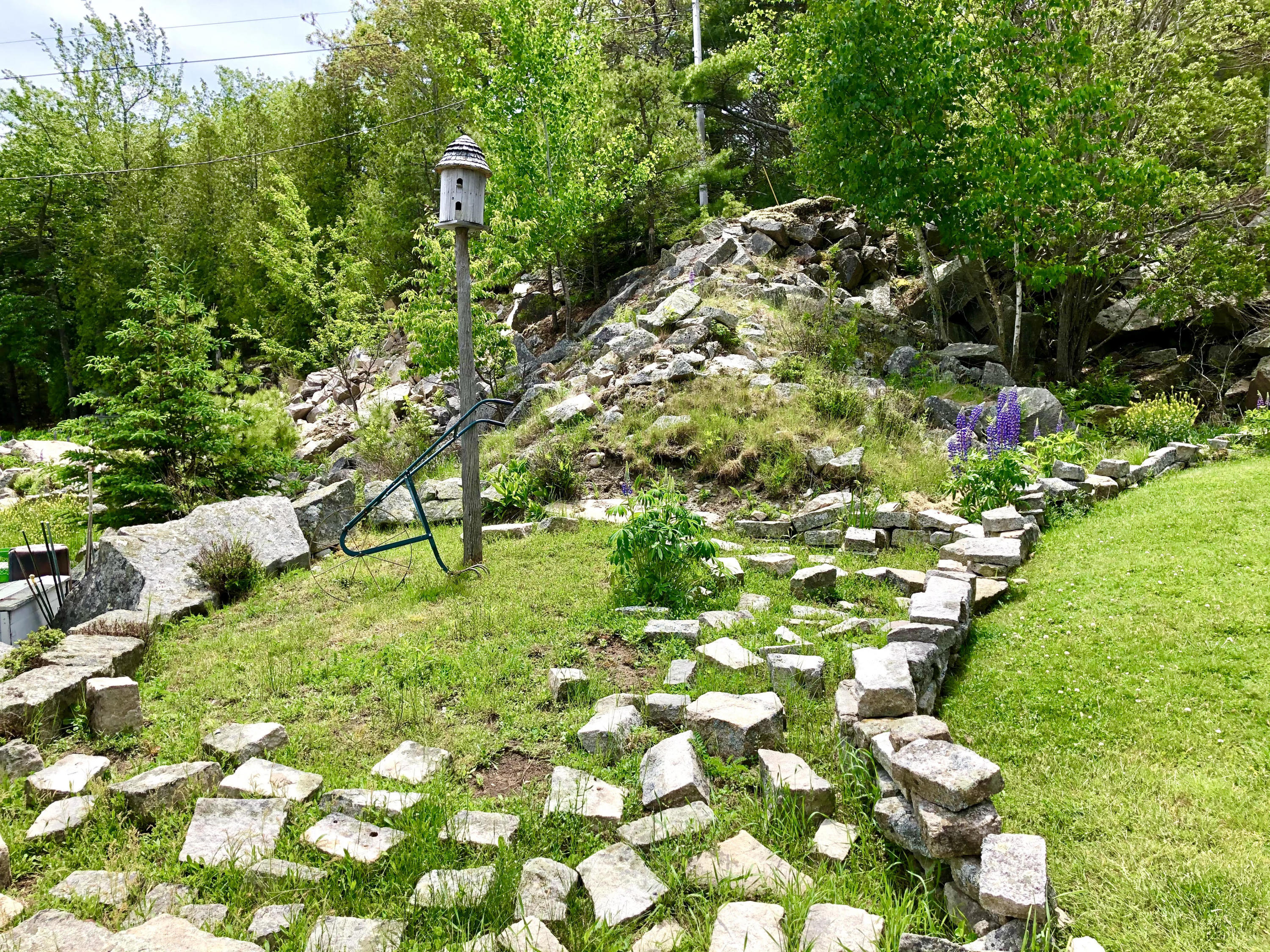 101 Hall Quarry Road Mount Desert, ME 04660 - Photo 31 of 58 Beautiful!