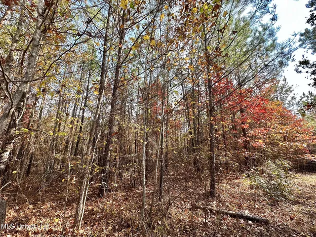 $74,000 | 5 County Road 3122, French Camp, MS 39745