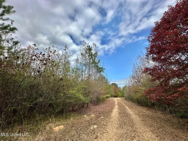 $74,000 | 5 County Road 3122, French Camp, MS 39745