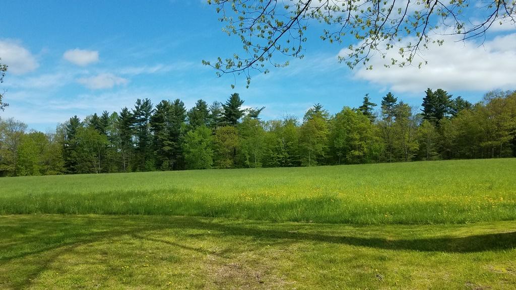 32 Getchell Corner Road Vassalboro, ME 04989 - Photo 6 of 29 06. Plenty of Open Fields