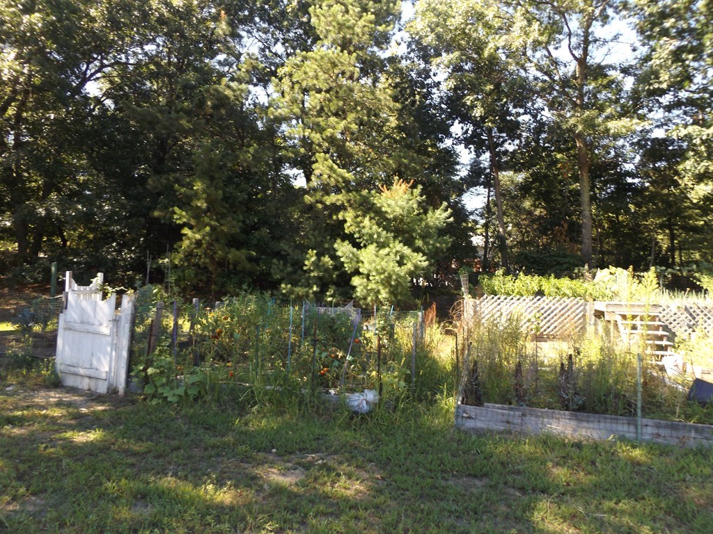 160 Ayer Road, Unit D Shirley, MA 01464 - Photo 19 of 20 Gallery Image 19