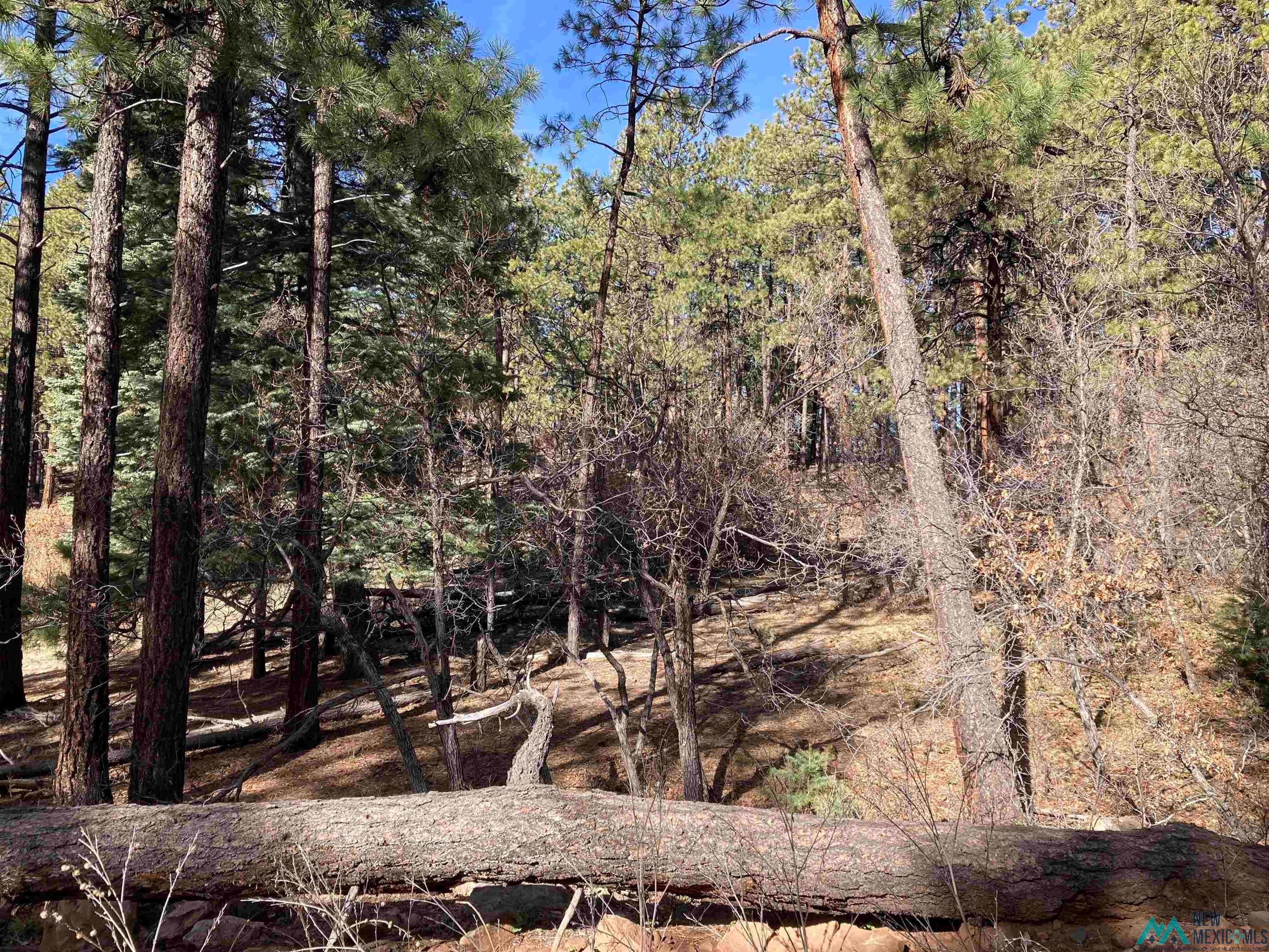 Tbd Serenity Road Chama, NM 87520 - Photo 12 of 13 Gallery Image 12