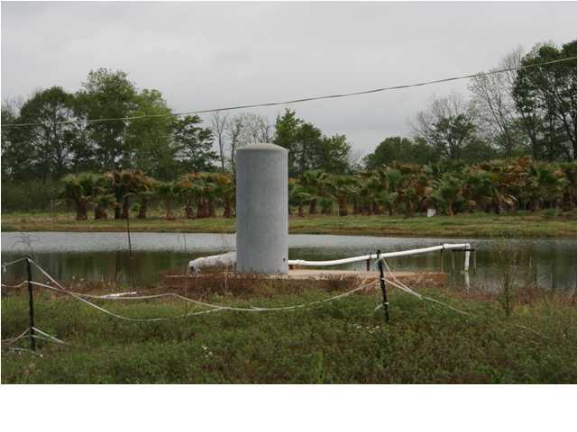 1541 Nursery Road Ville Platte, LA 70586 - Photo 8 of 9
