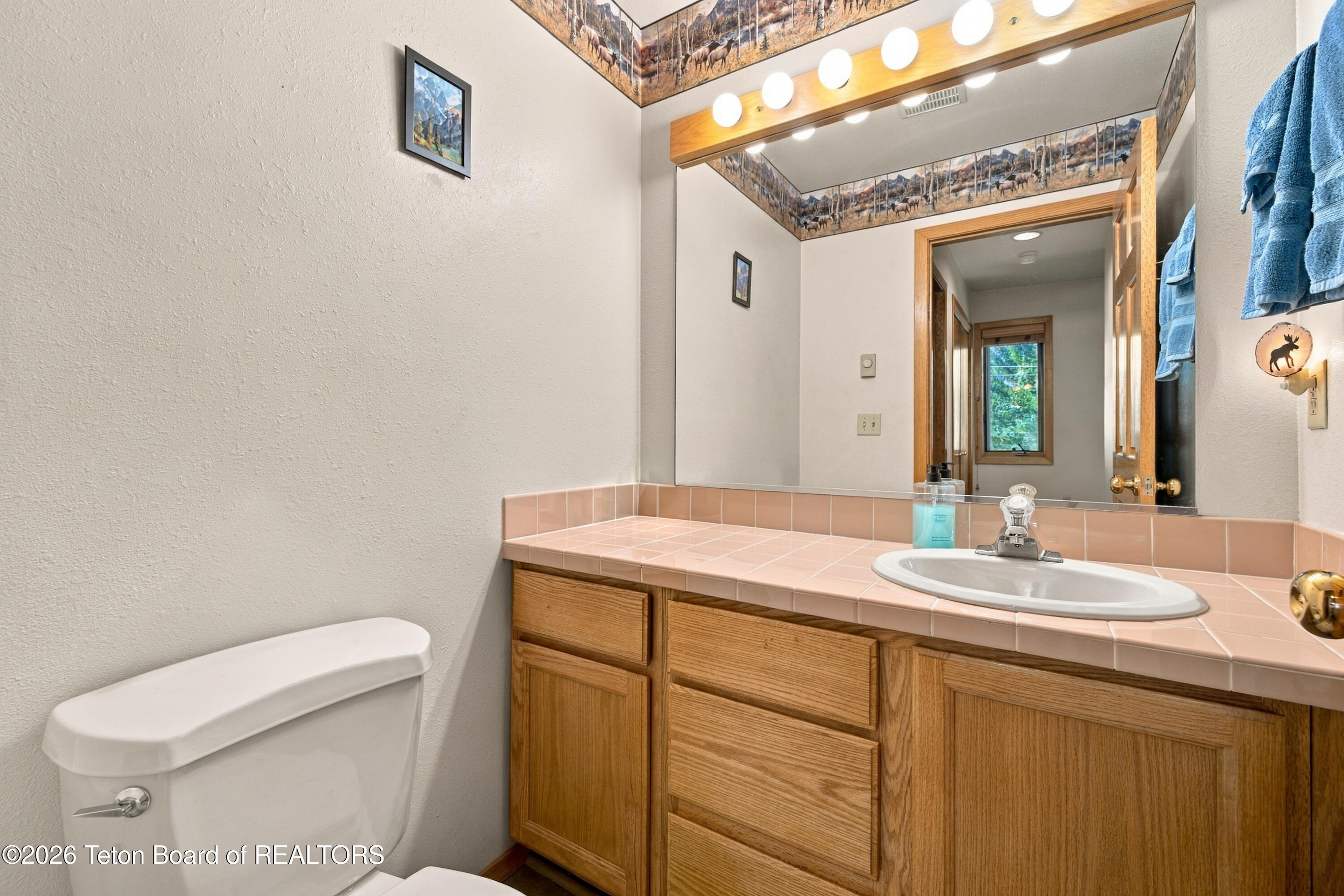 357 Snow King Loop Jackson, WY 83001 - Photo 17 of 26 22 Powder Room